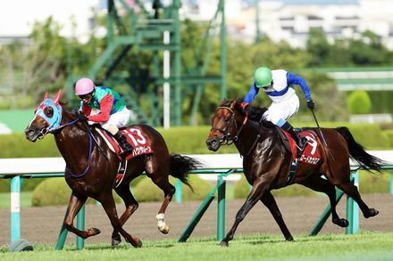20130927.jpg
